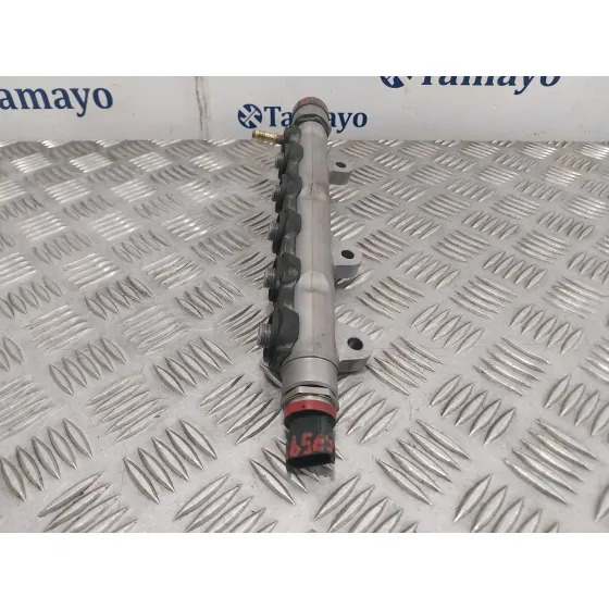 Rampa Inyectora para Nissan Qashqai (J10)