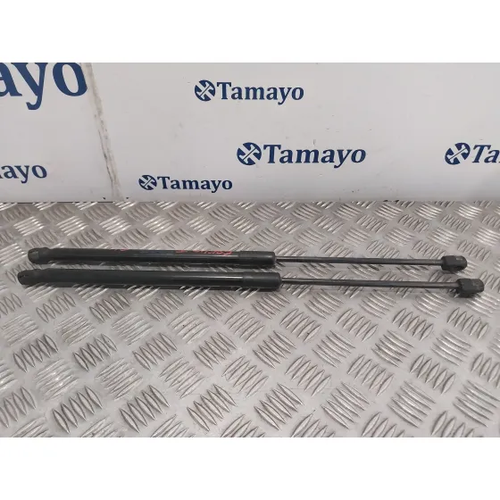 Amortiguadores Maletero / Porton para Audi A3 Sportback (8P)