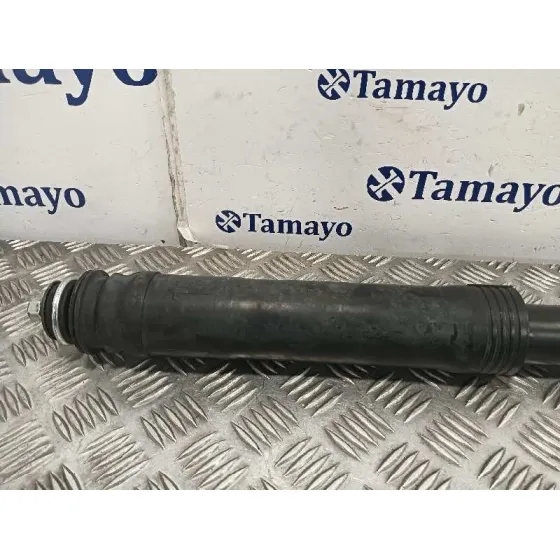 Amortiguador Trasero Derecho para Toyota Prius (Nhw30)