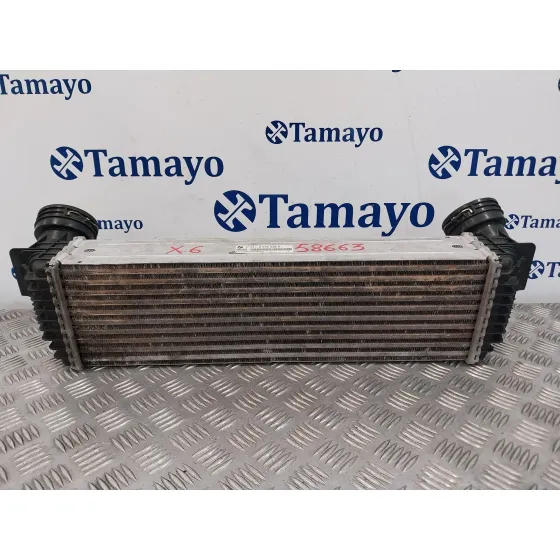 Intercooler para Bmw X6 (F16, F86)