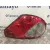 Piloto Trasero Derecho para Jaguar X-Type