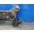 Puente Delantero para Ford Transit Combi '06