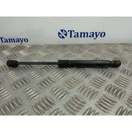 Amortiguadores Maletero / Porton para Audi A4 Berlina (8E)