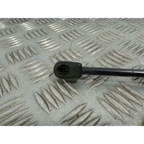 Amortiguadores Maletero / Porton para Audi A4 Berlina (8E)