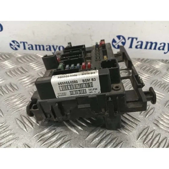 Caja Reles / Fusibles para Peugeot 307 (S1)