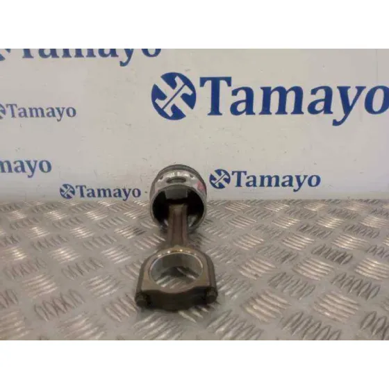 Piston para Peugeot Partner Kombi
