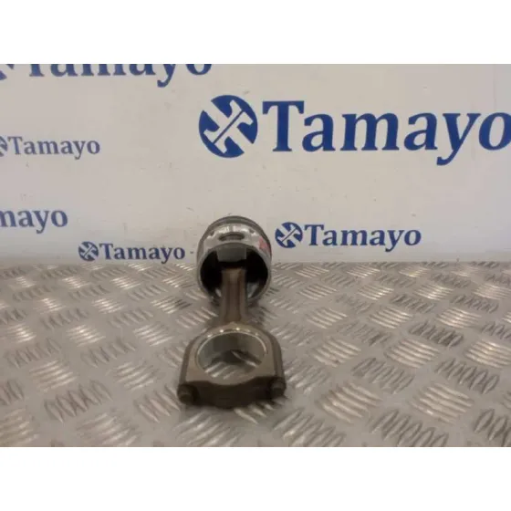 Piston para Peugeot Partner Kombi