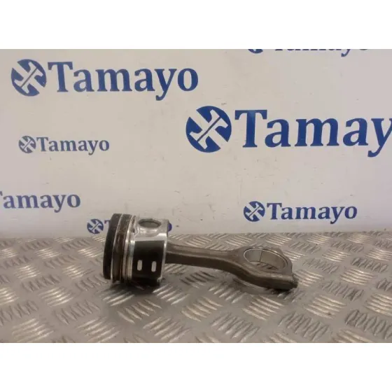 Piston para Peugeot Partner Kombi