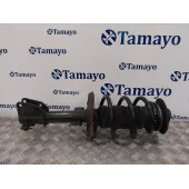 Amortiguador Delantero Derecho para Nissan Interstar