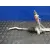 Cremallera Direccion para Nissan Interstar