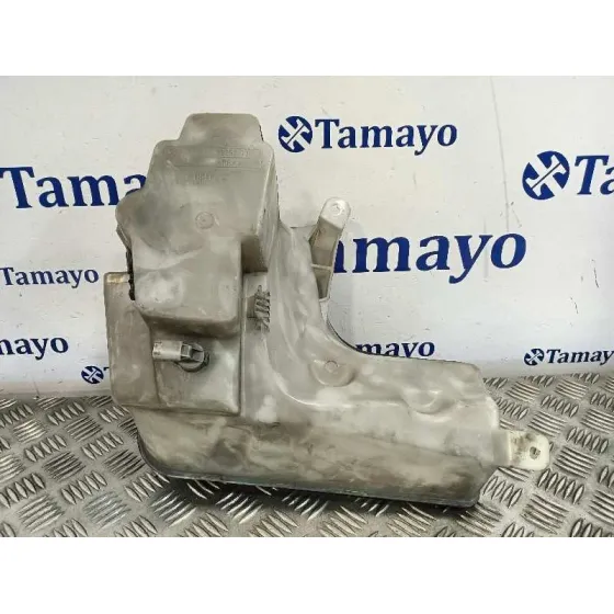 Deposito Limpia para Bmw X5 (E53)