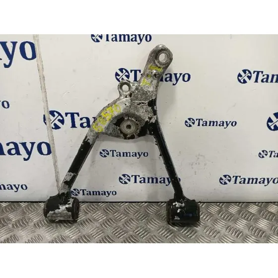Brazo Suspension Inferior Trasero Izquierdo para Mercedes-Benz Clase M (W163)