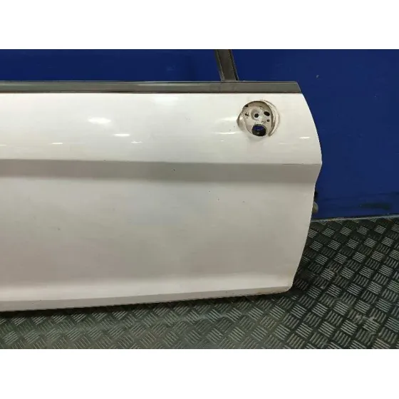Puerta Delantera Derecha para Ford Fiesta (Ccn)