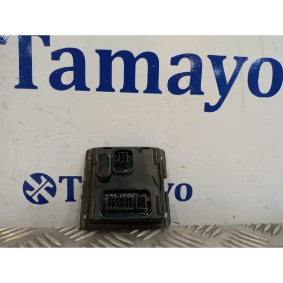 Centralita Faros Xenon para Seat Leon (1P1)