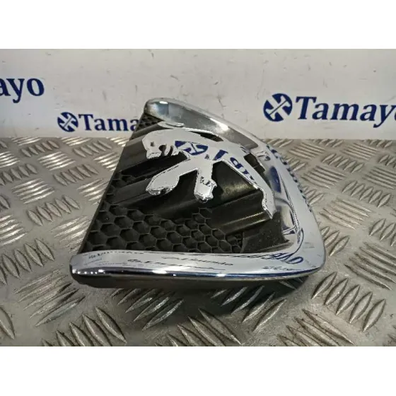 Rejilla Delantera para Peugeot 207