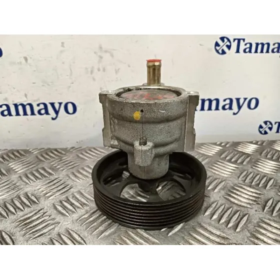 Bomba Direccion para Renault Laguna Ii (Bg0)