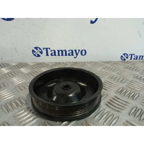 Polea Ciguenal para Audi A3 Sportback (8P)