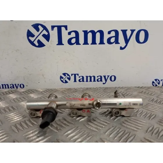 Rampa Inyectora para Ford Tourneo Connect