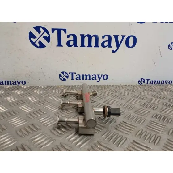 Rampa Inyectora para Ford Tourneo Connect