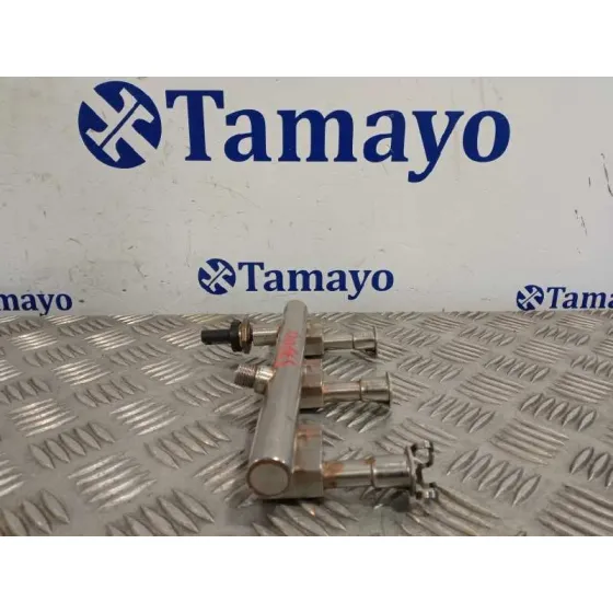 Rampa Inyectora para Ford Tourneo Connect