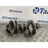 Ciguenal para Ford Tourneo Connect