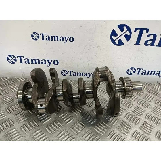Ciguenal para Ford Tourneo Connect