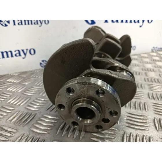 Ciguenal para Ford Tourneo Connect