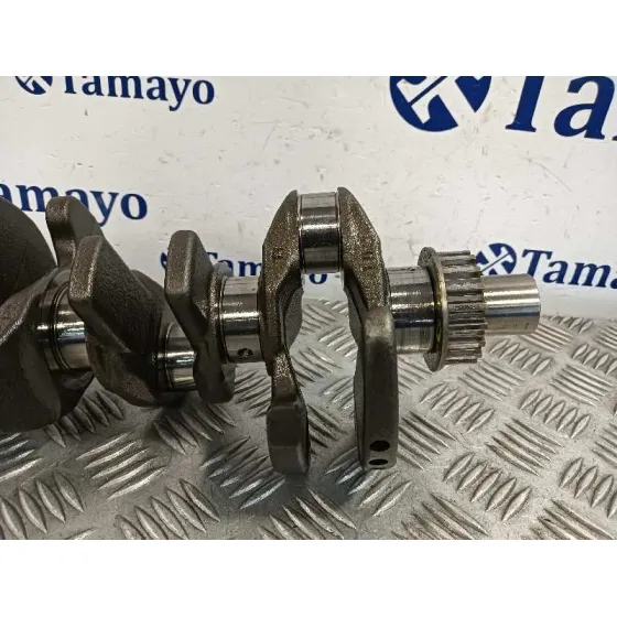 Ciguenal para Ford Tourneo Connect