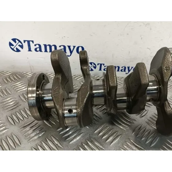 Ciguenal para Ford Tourneo Connect