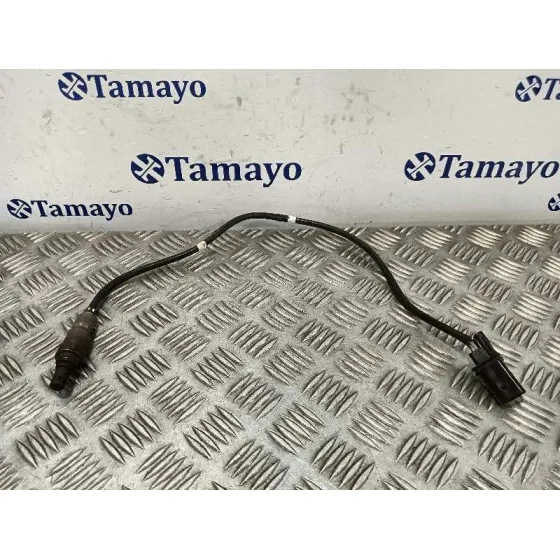 Sonda Lambda para Volkswagen Passat Lim. (3G2)