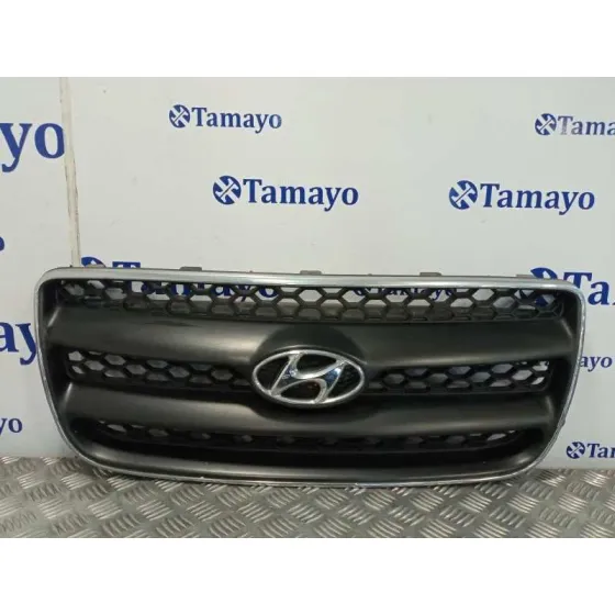 Rejilla Delantera para Hyundai Santa Fe (Bm)