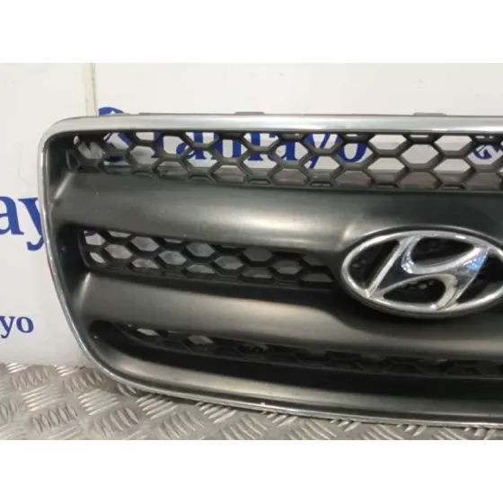 Rejilla Delantera para Hyundai Santa Fe (Bm)
