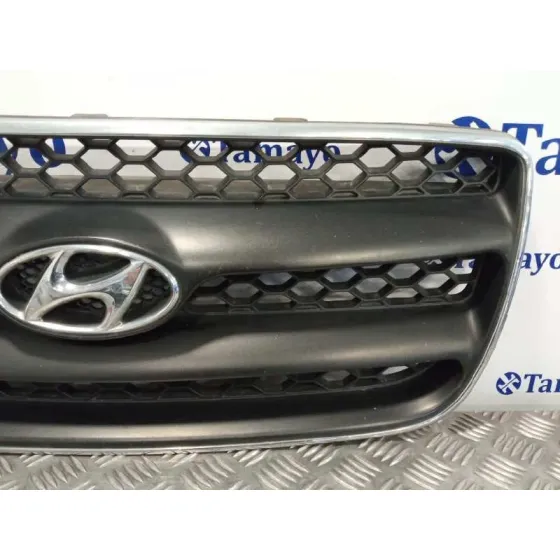 Rejilla Delantera para Hyundai Santa Fe (Bm)