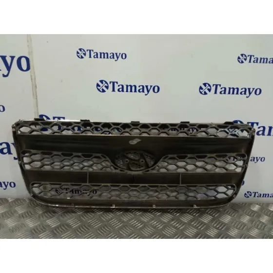 Rejilla Delantera para Hyundai Santa Fe (Bm)