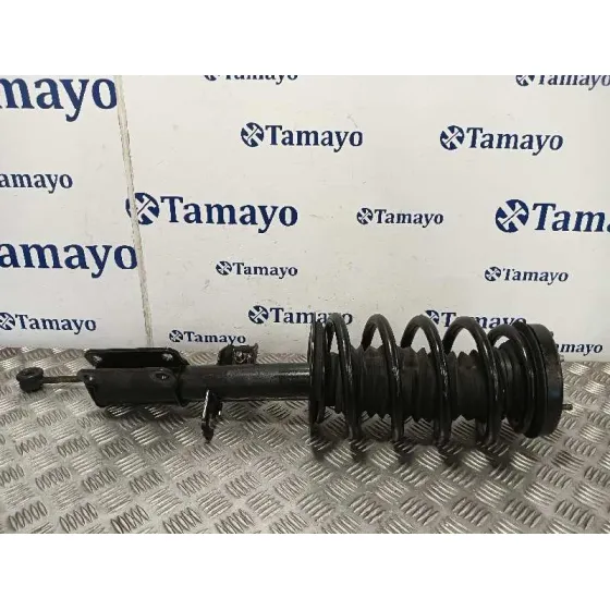 Amortiguador Delantero Izquierdo para Bmw X5 (E53)