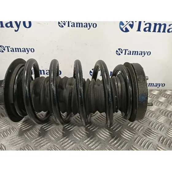 Amortiguador Delantero Izquierdo para Bmw X5 (E53)