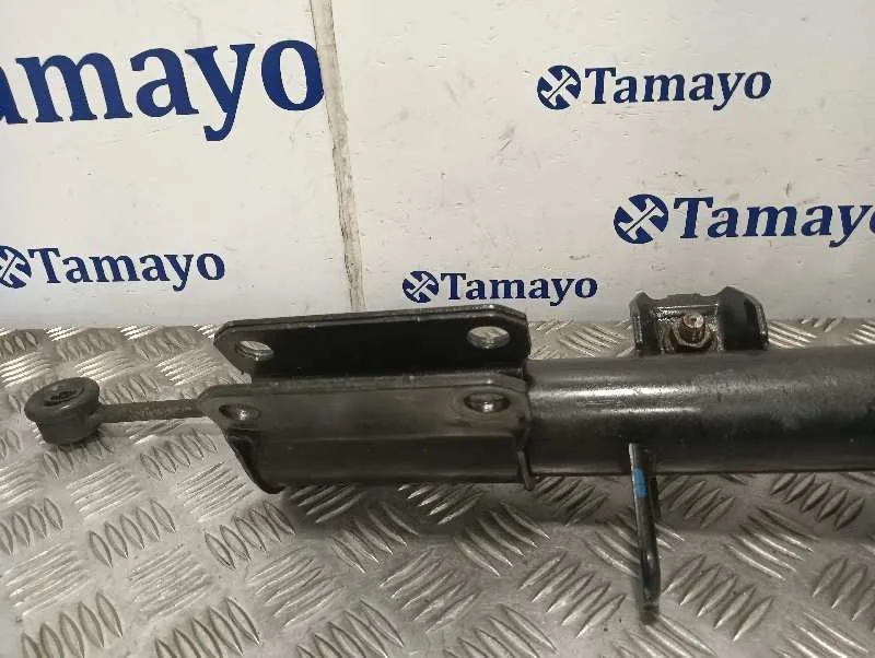 Amortiguador Delantero Izquierdo para Bmw X5 (E53)