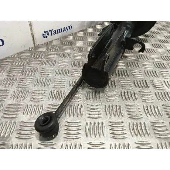 Amortiguador Delantero Izquierdo para Bmw X5 (E53)