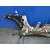 Puente Delantero para Renault Kangoo
