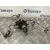 Rampa Inyectora para Ford Transit Connect (Tc7)