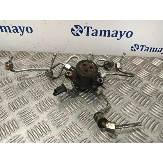Rampa Inyectora para Ford Transit Connect (Tc7)