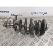 Ciguenal para Ford Tourneo Connect
