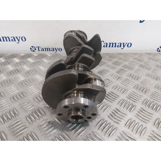 Ciguenal para Ford Tourneo Connect