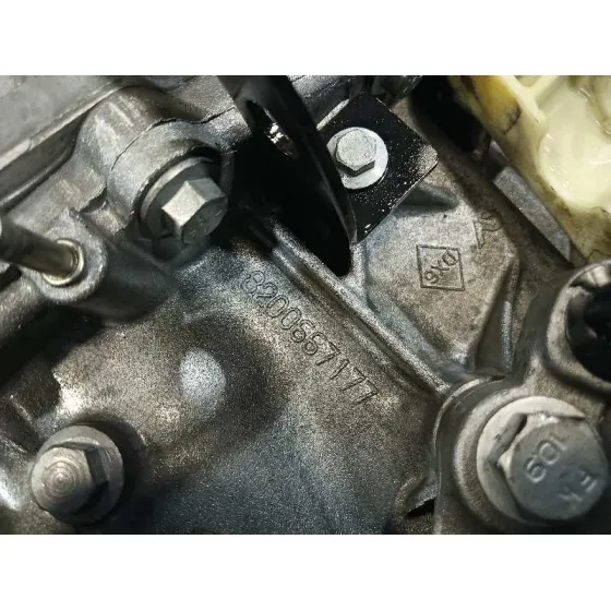 Caja Cambios para Renault Scenic Iii (Jz0/1_)