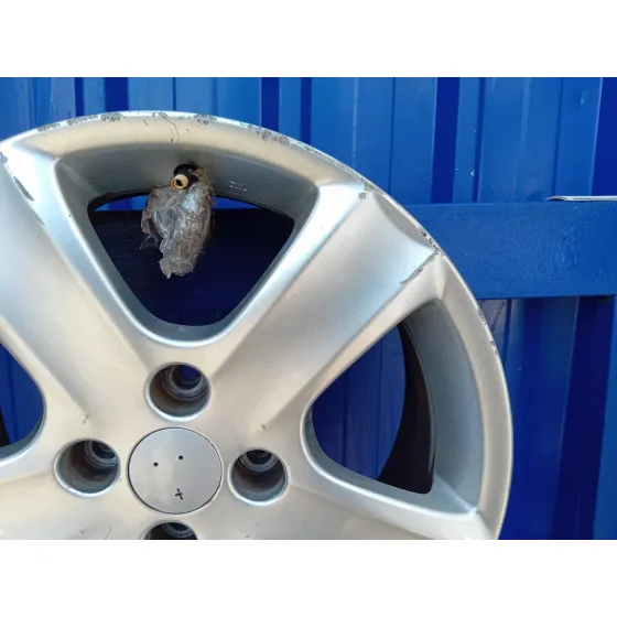 Llanta para Peugeot 307 (S1)