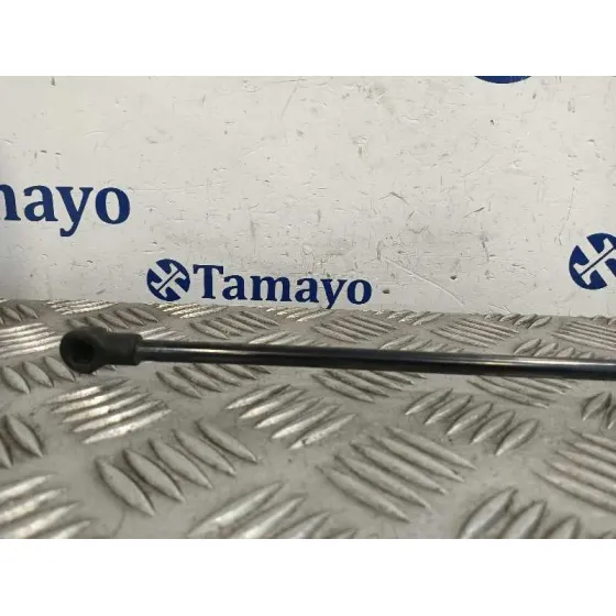 Amortiguadores Maletero / Porton para Volkswagen Golf Vii Variant (Ba5, Bv5)