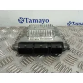 Centralita Motor Uce para Peugeot 407