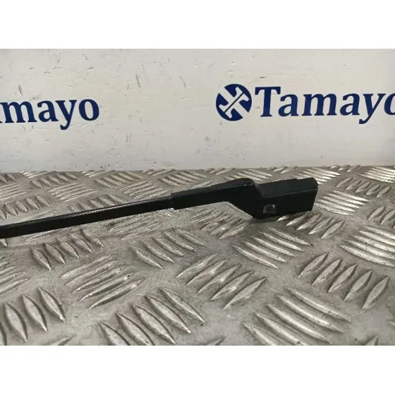 Brazo Limpia Delantero Izquierdo para Peugeot Partner Kombi