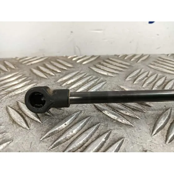 Amortiguadores Maletero / Porton para Nissan Juke (F15)