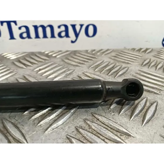 Amortiguadores Maletero / Porton para Nissan Juke (F15)